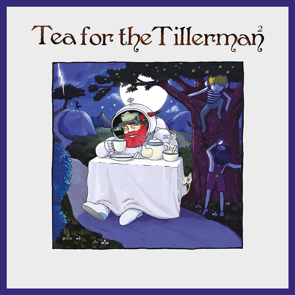 Tea for the Tillerman 2 - Cat Stevens